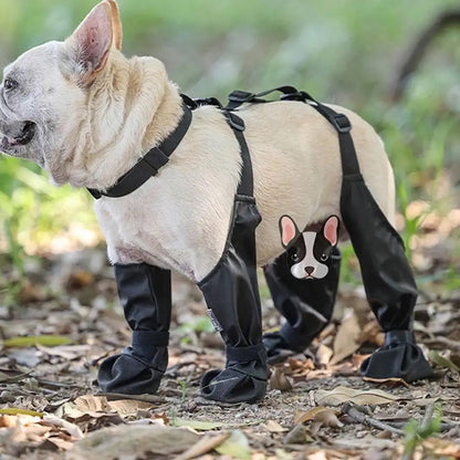Dog Boots | Protective Paw Boots for Dogs