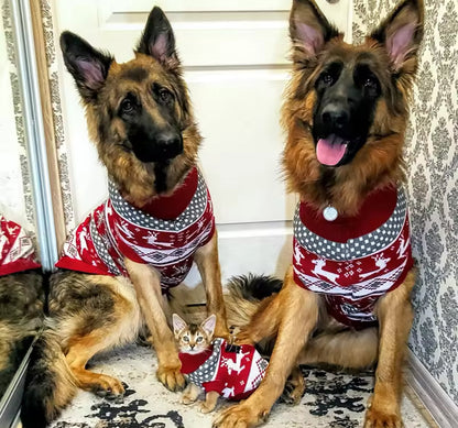 Holiday Dog Christmas Sweater | Dog Sweater for Winter