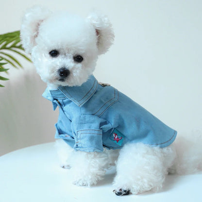 Denim Dog Tee | Casual Dog T-Shirt Outfit