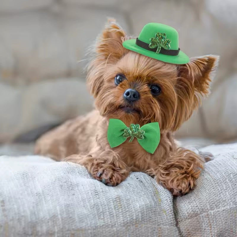 Saint Patrick’s Day Set – Festive Luxury Dog Accessory Set