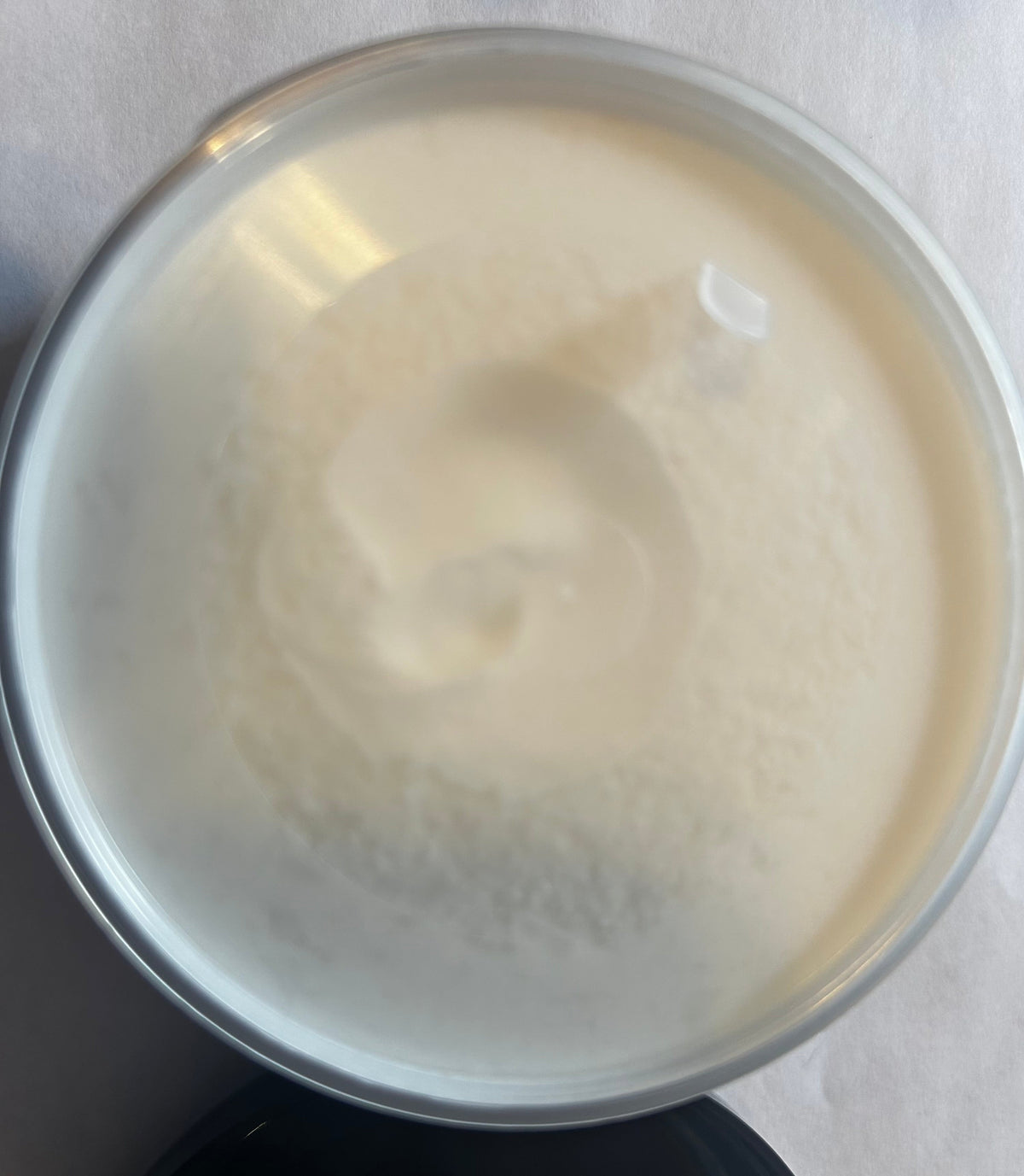 Turmeric Face & Body Shea Butter