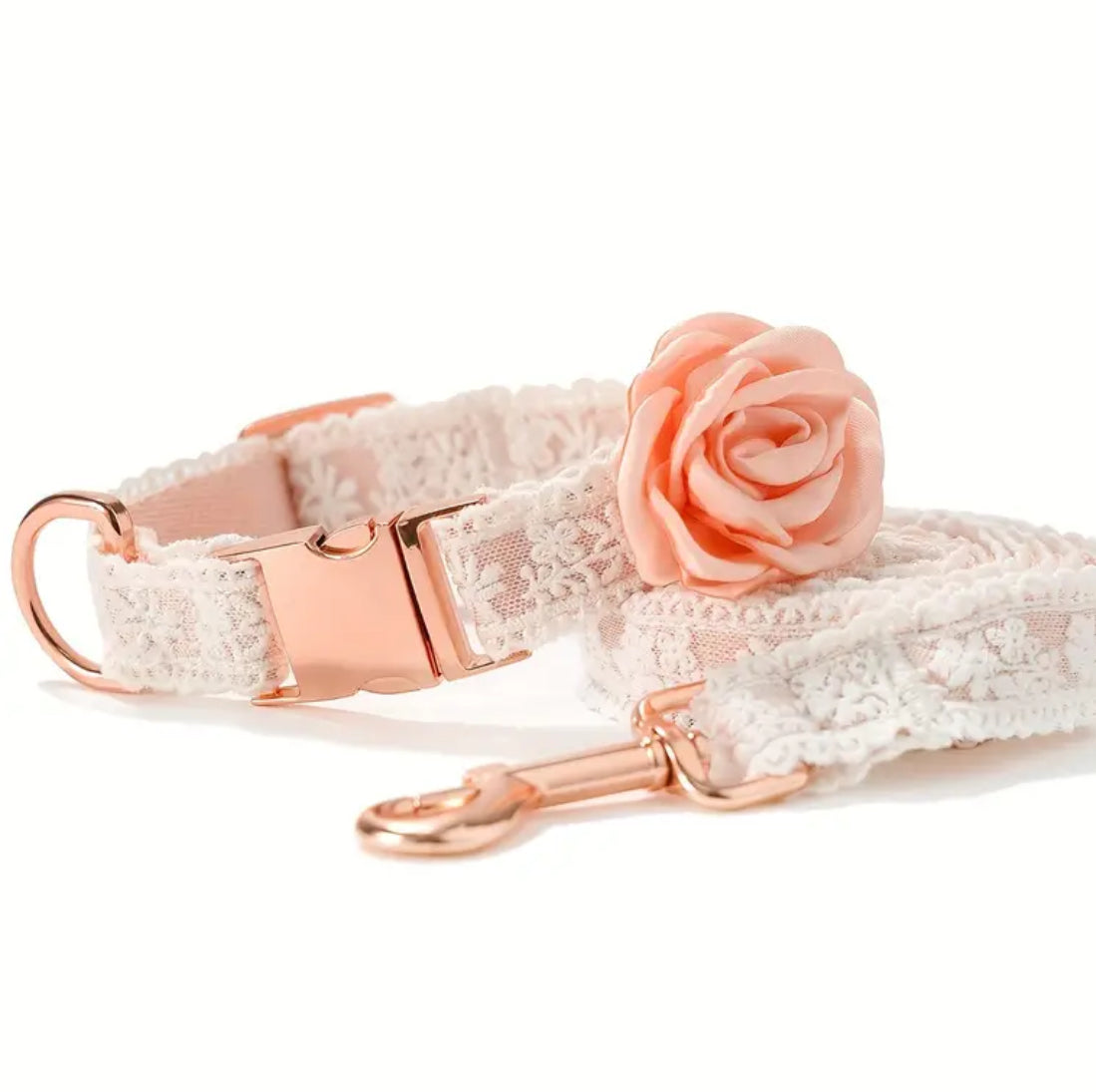 Enchanted Collar & Leash Set | Dog Collar and Leash