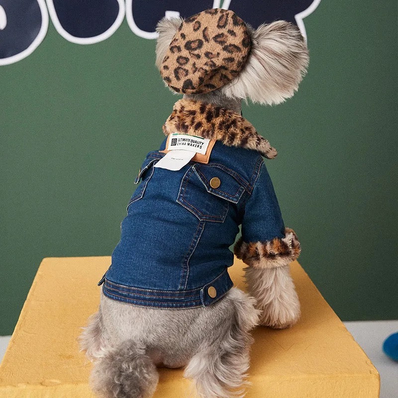 Wild Streets Dog Jean Jacket | Casual Dog Denim Outerwear