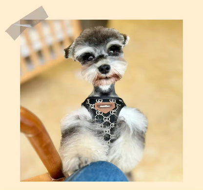 Gigi Dog Harness & Leash Set | Adjustable Dog Walking Set