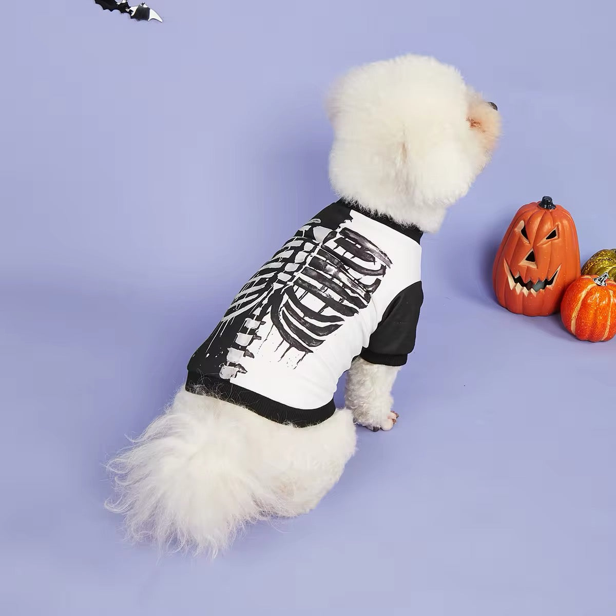 Skeleton Bones Dog Costume | Halloween Dog Costume