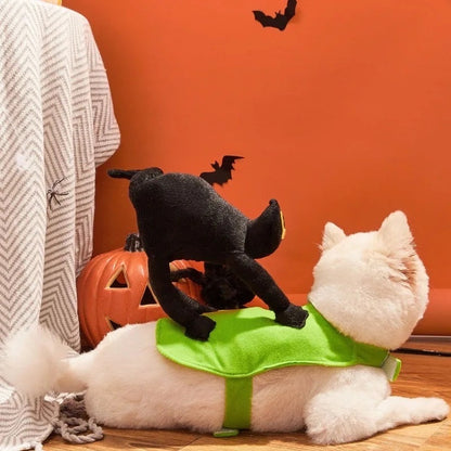 A Scaredy Cat Dog Halloween Costume