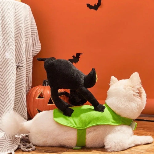 A Scaredy Cat Dog Halloween Costume