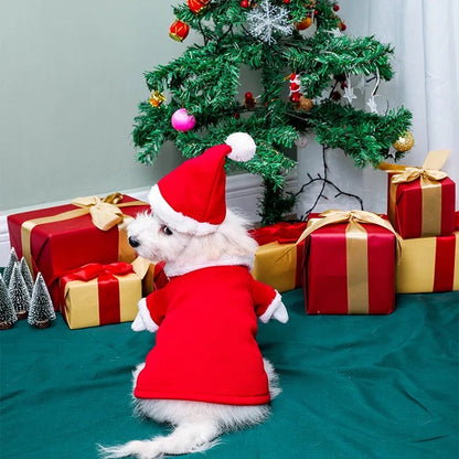 Santa Claws Is Coming Dog Outfit | Christmas Holiday Dog Outfit