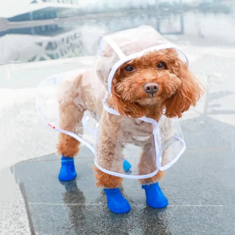 Raincouver Dog Coat – Luxury Waterproof Outerwear for Dogs