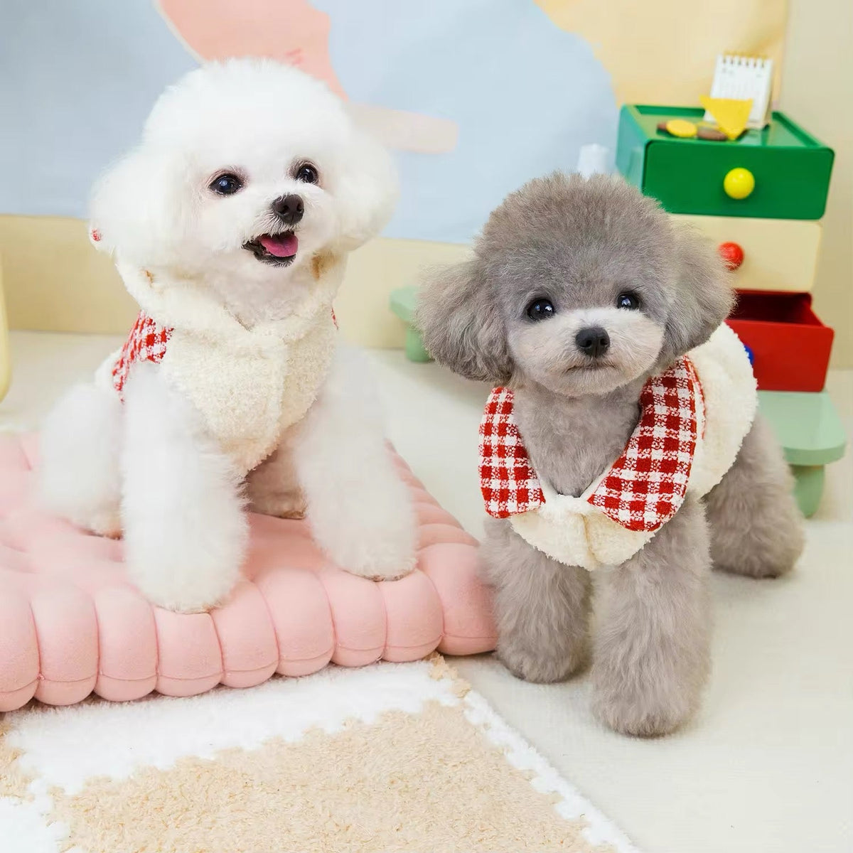 Nicholas Holiday Outfit for Dogs – Matching Dog Dress and Hoodie Set