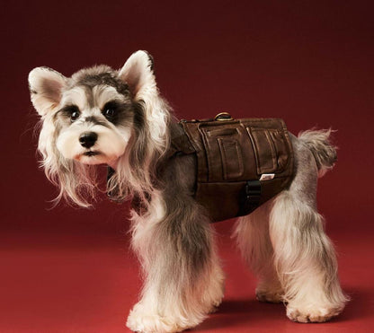 Joey Dog Overalls Vest | Dog Vest for Everyday Wear