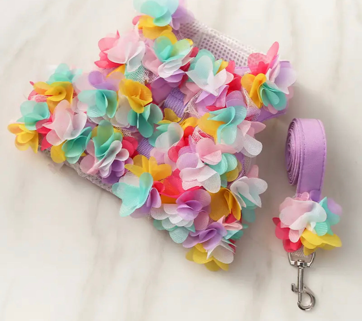 Cherry Blossom Dog Harness and Leash Set | Dog Walking Set