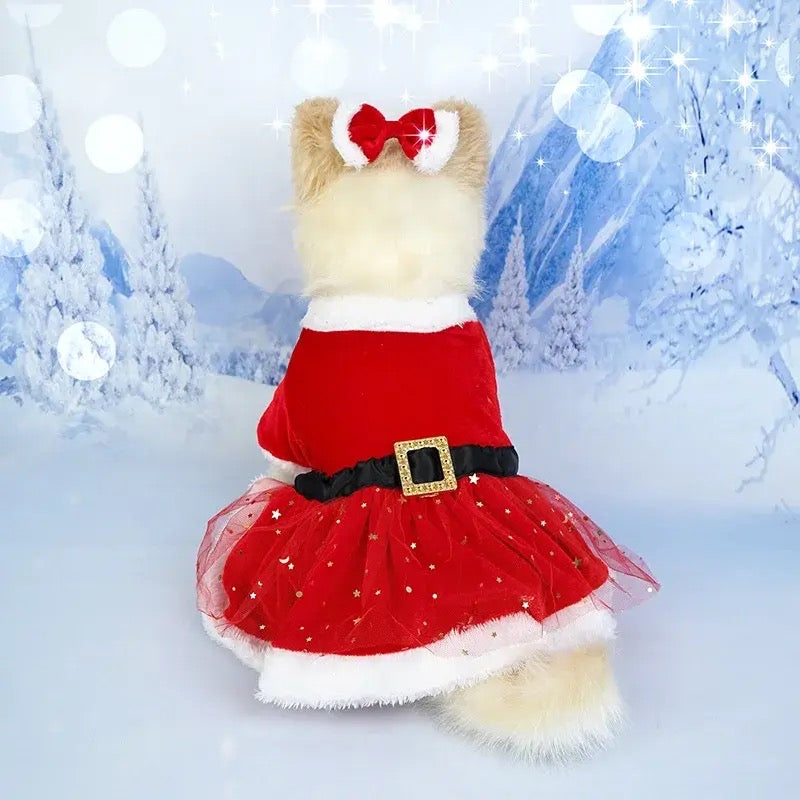 Santa Honey Holiday Dog Dress | Christmas Occasion Dog Outfit