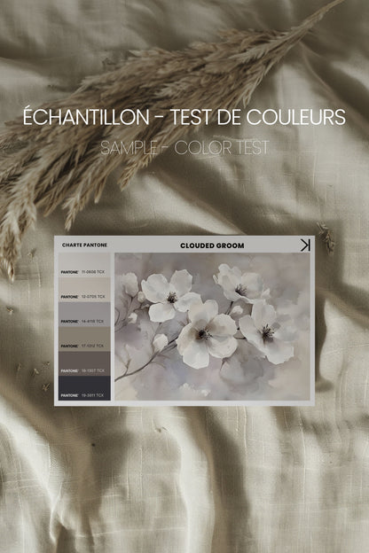 CLOUDED Groom, Oeuvre sur toile étirée