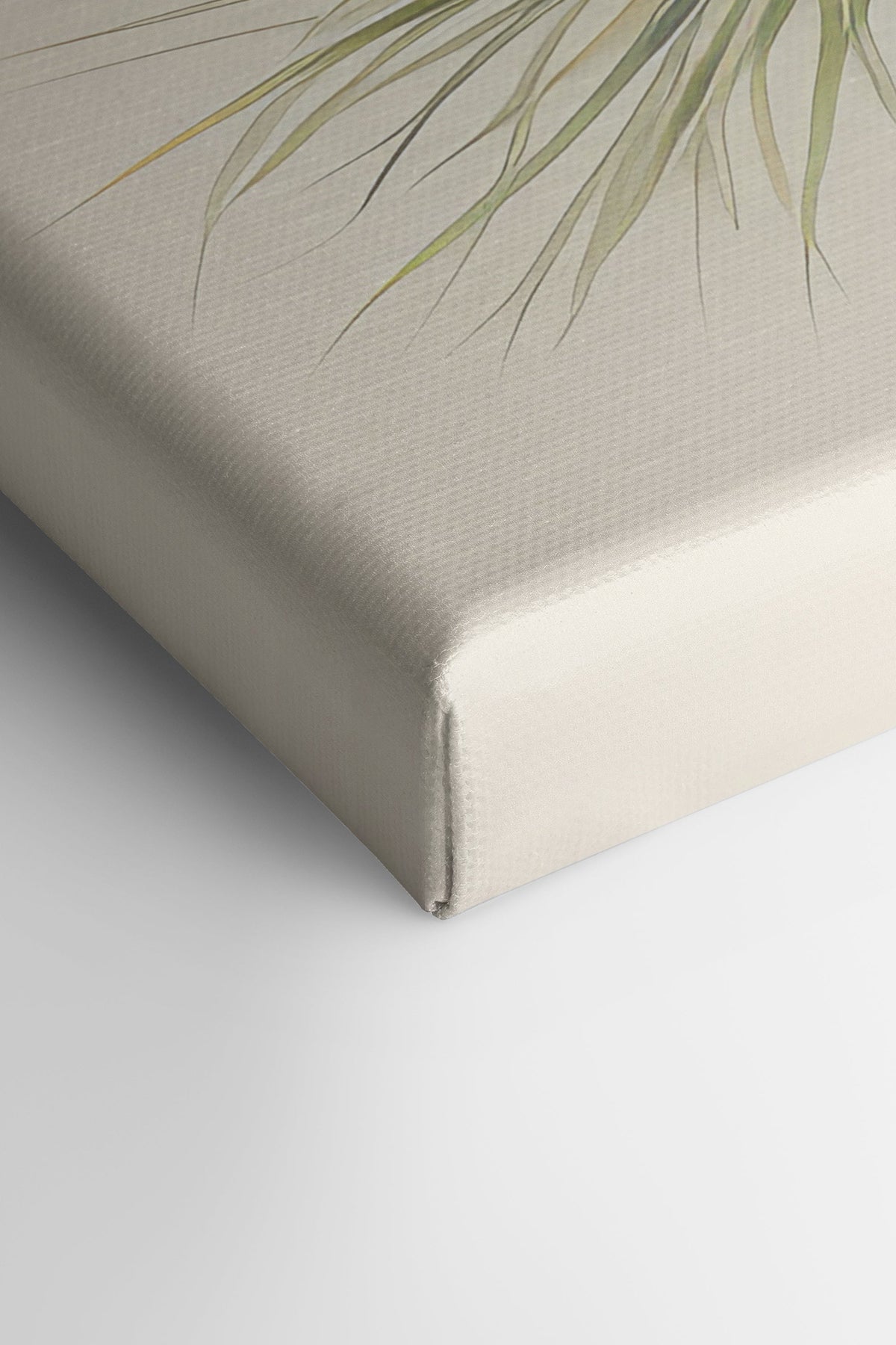 Conifer Branch, Oeuvre sur toile étirée