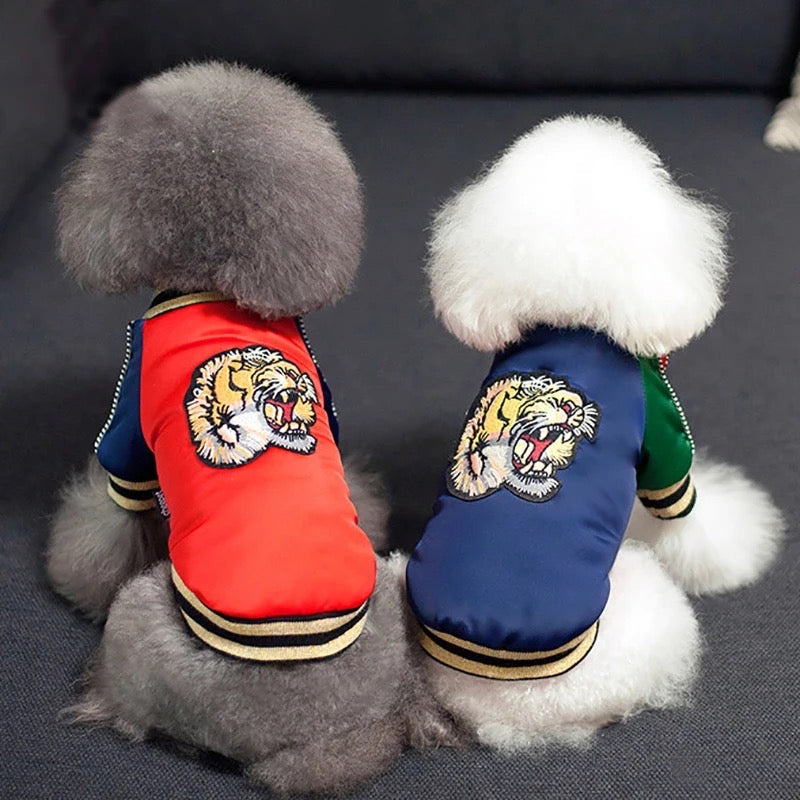 Tiger Eye Lion Dog Bomber Jacket | Streetwear Dog Jacket