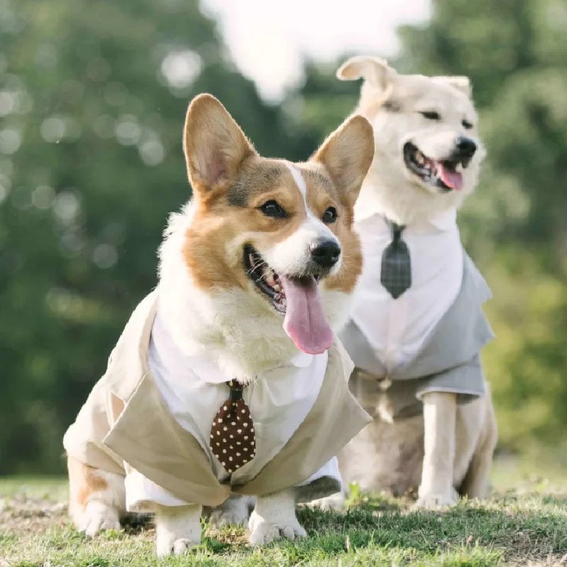Dog Wedding Tuxedo Suit | Formal Outfit