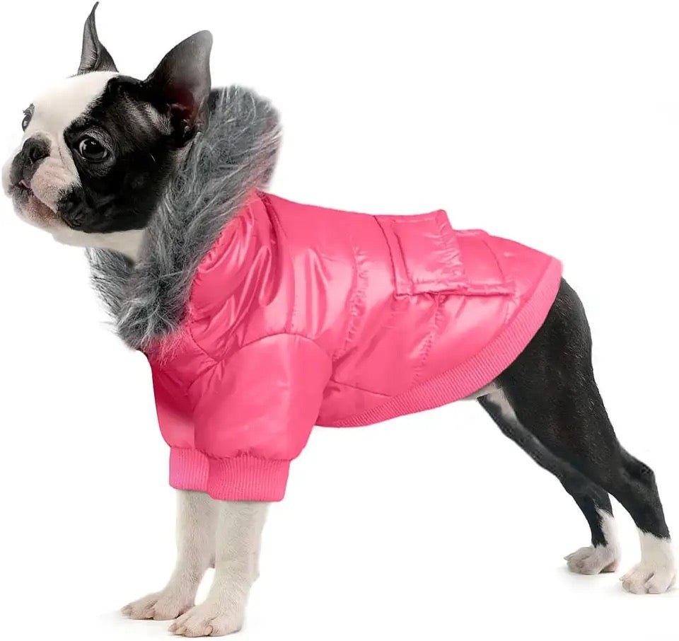 Dog Fur Hood Jacket | Luxe Hooded Dog Coat