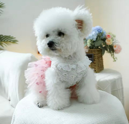 Laura Dog Dress | Designer Dog Dress for Small Dogs