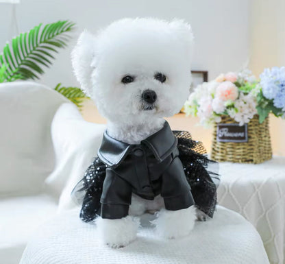 She’s a Rockstar Dog Dress | Dog Dress for Special Occasions