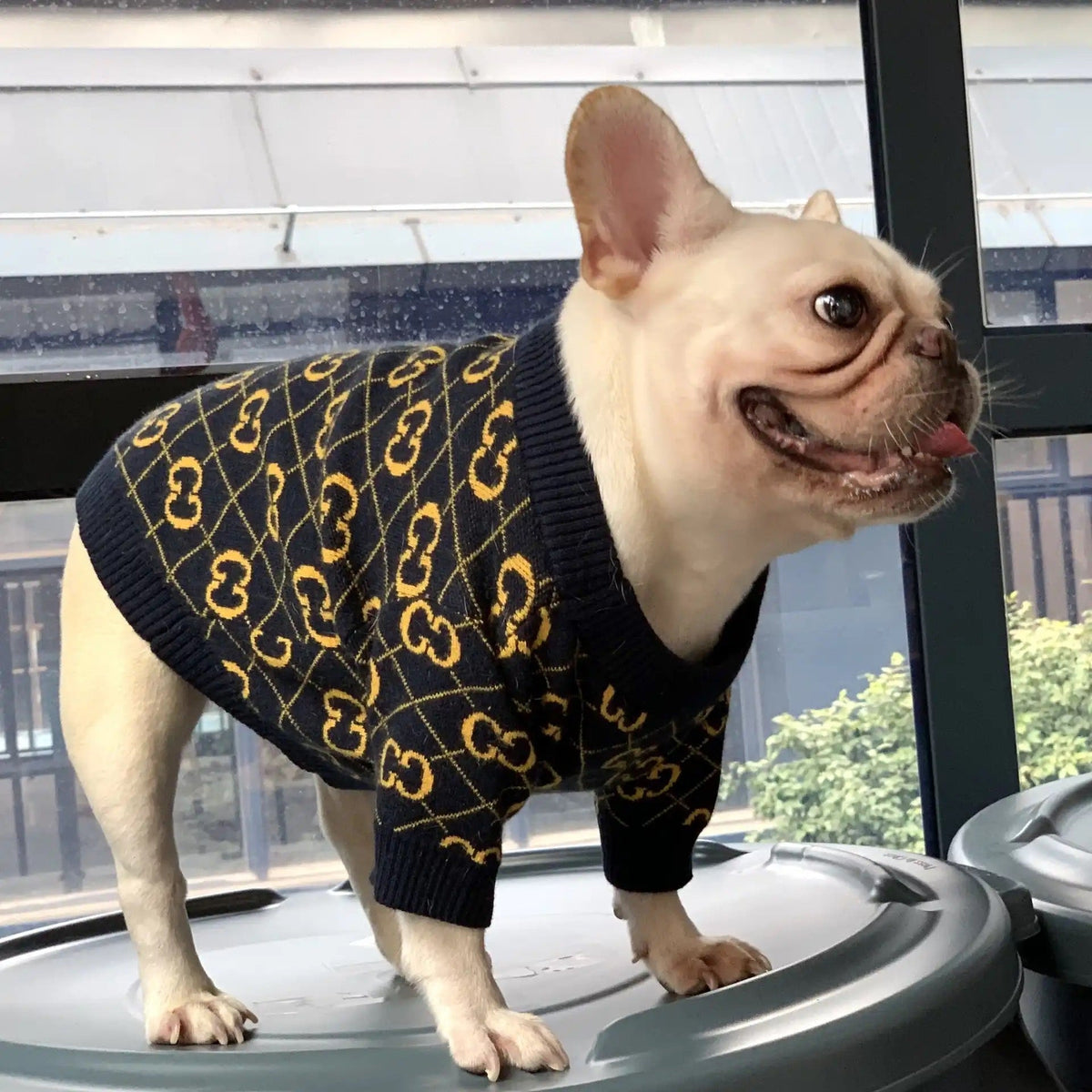 Dog Knit Sweater | Gigi Luxe Knit Sweater