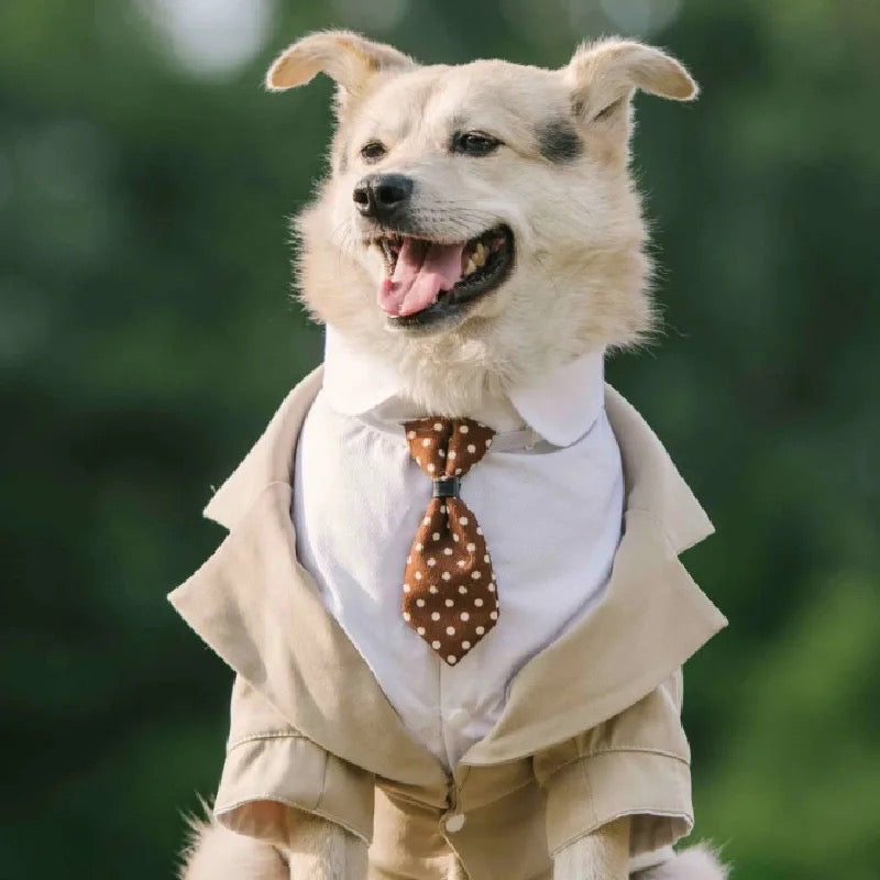 Dog Wedding Tuxedo Suit | Formal Outfit