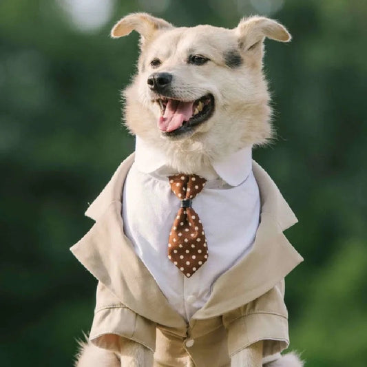 Dog Wedding Tuxedo Suit | Formal Outfit
