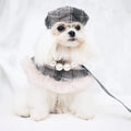 Ophelia Plaid Dog Harness Set | Outfit with Hat and Leash