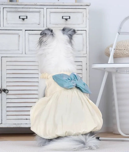 Beyonca Dress