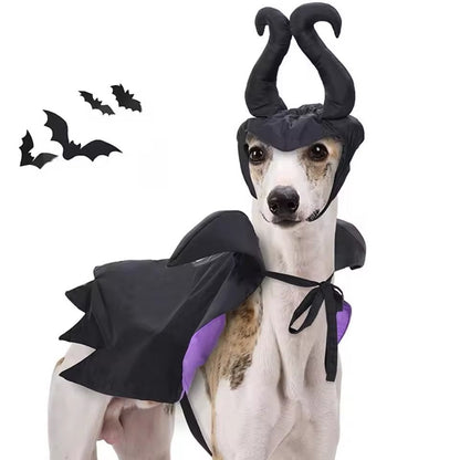 Pawleficent Dog Halloween Costume | Dog Costume for Halloween