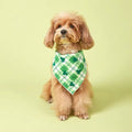 Saint Patrick’s Day Dog Bandana – Festive Holiday Pet Accessory