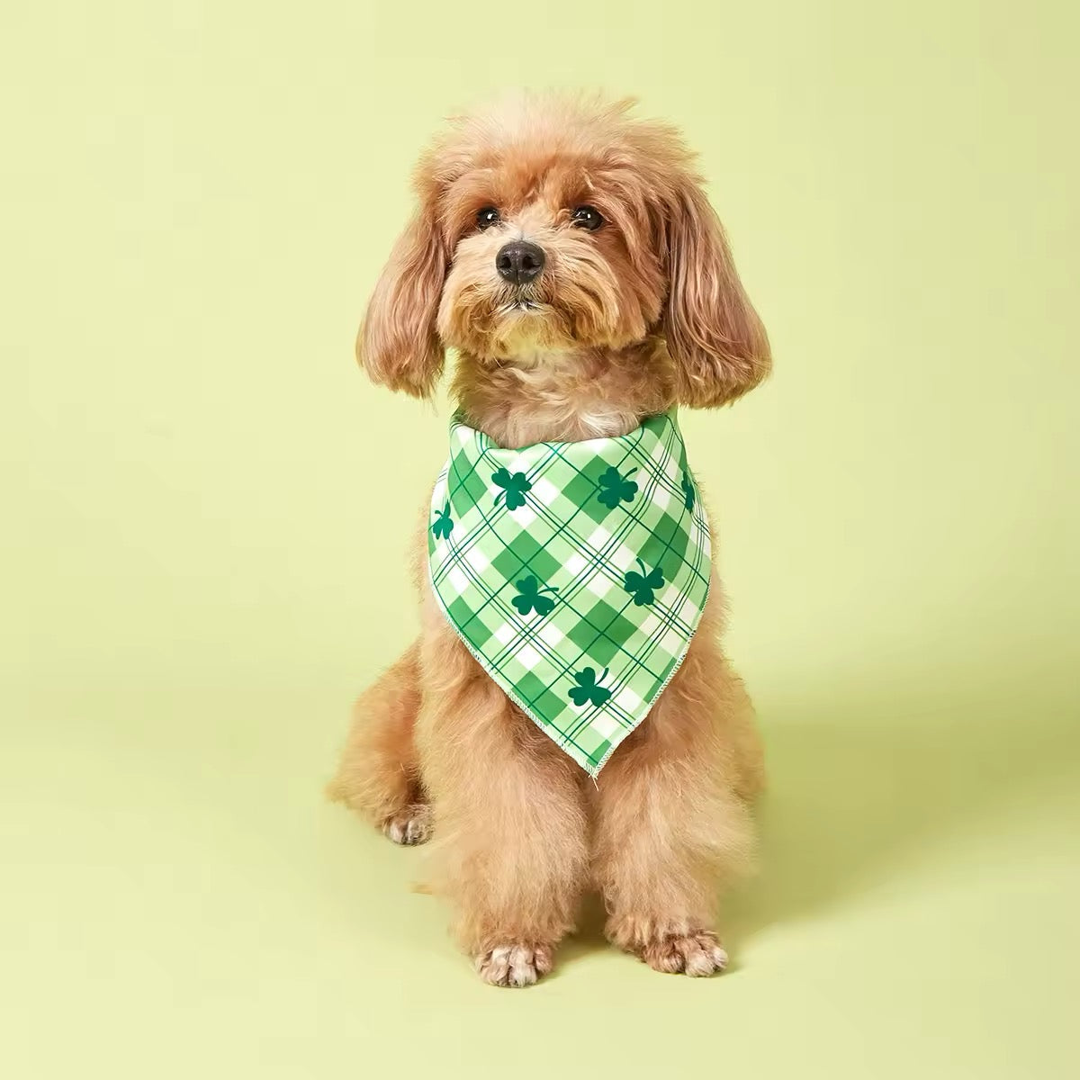 Saint Patrick’s Day Dog Bandana – Festive Holiday Pet Accessory