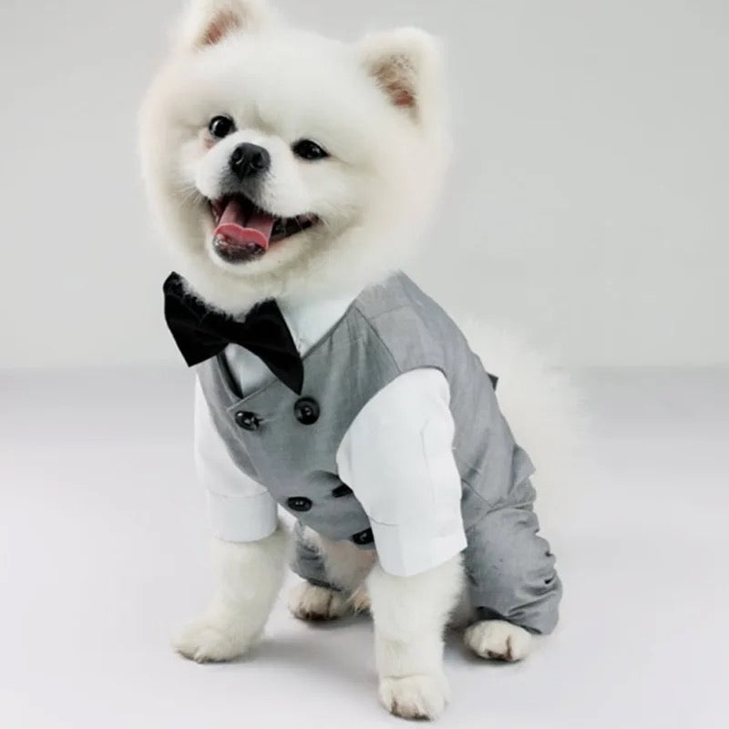 Distinguished Gentleman Two-Piece Dog Suit | Formal Dog Outfit Set