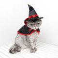 Witch Dog Costume | Halloween Dog Costume