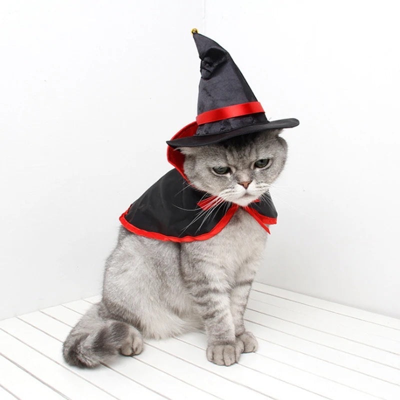 Witch Dog Costume | Halloween Dog Costume