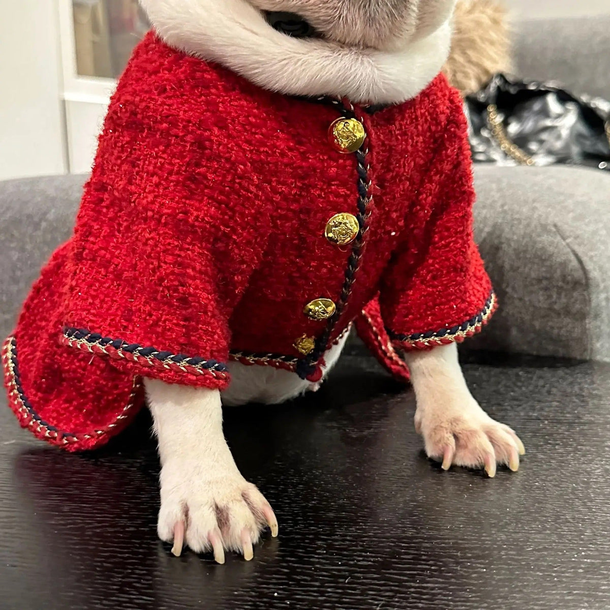 Dog Dress & Hat Set | Chewnel Tweed Dog Outfit