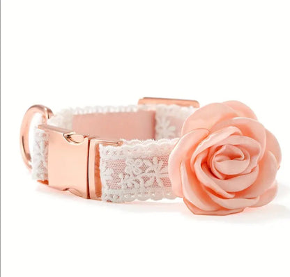 Enchanted Collar & Leash Set | Dog Collar and Leash