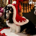 Snow on Christmas Day Dog Cloak | Holiday Outerwear Clothing