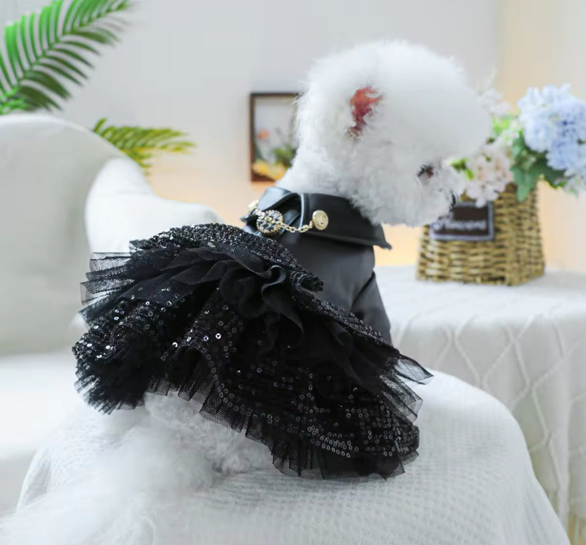 She’s a Rockstar Dog Dress | Dog Dress for Special Occasions