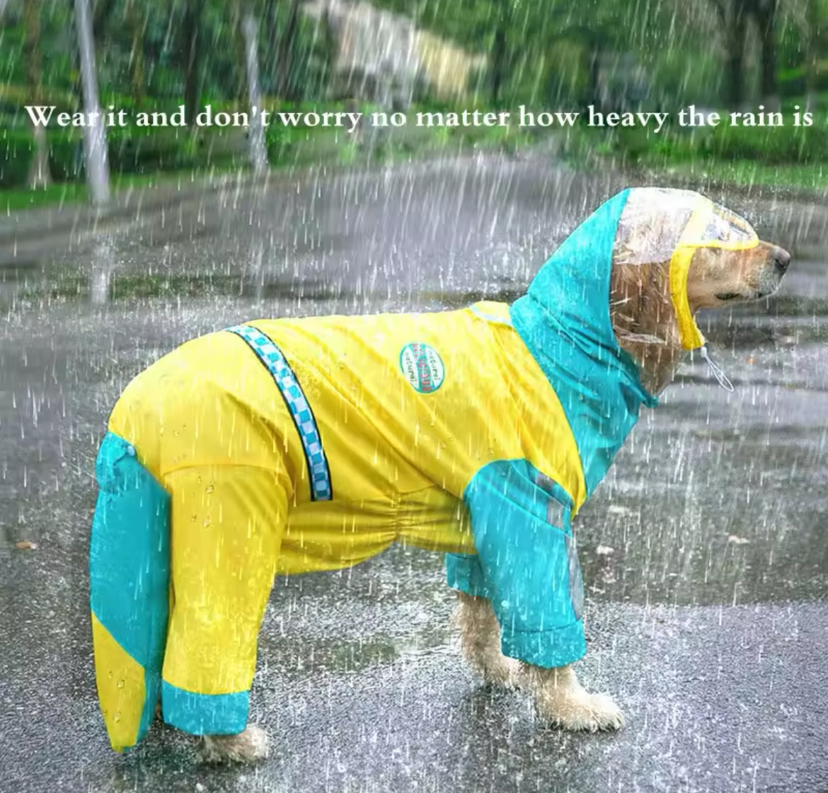 Vancouver Dog Rain Jacket | Waterproof Dog Jacket for Large Dogs