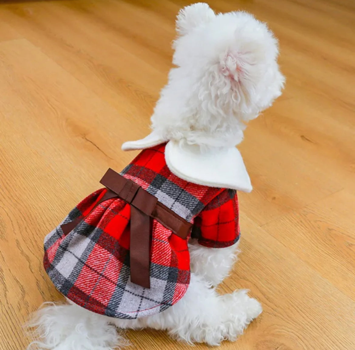 Nicole Dog Dress | Dog Dress for Special Occasions