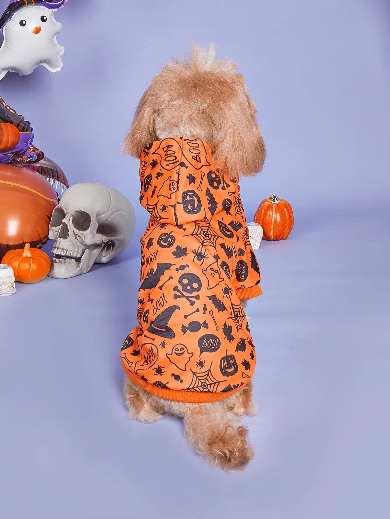 Halloween Dog Hoodie | Spooky Dog Hoodie