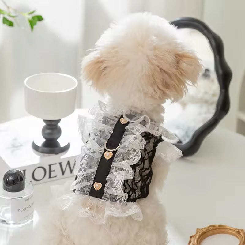 Sabrina Dress for Dogs – Elegant Lace Dog Dress
