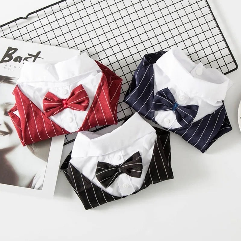 Tuxedog Suit – Luxury Formal Outfit for Dogs
