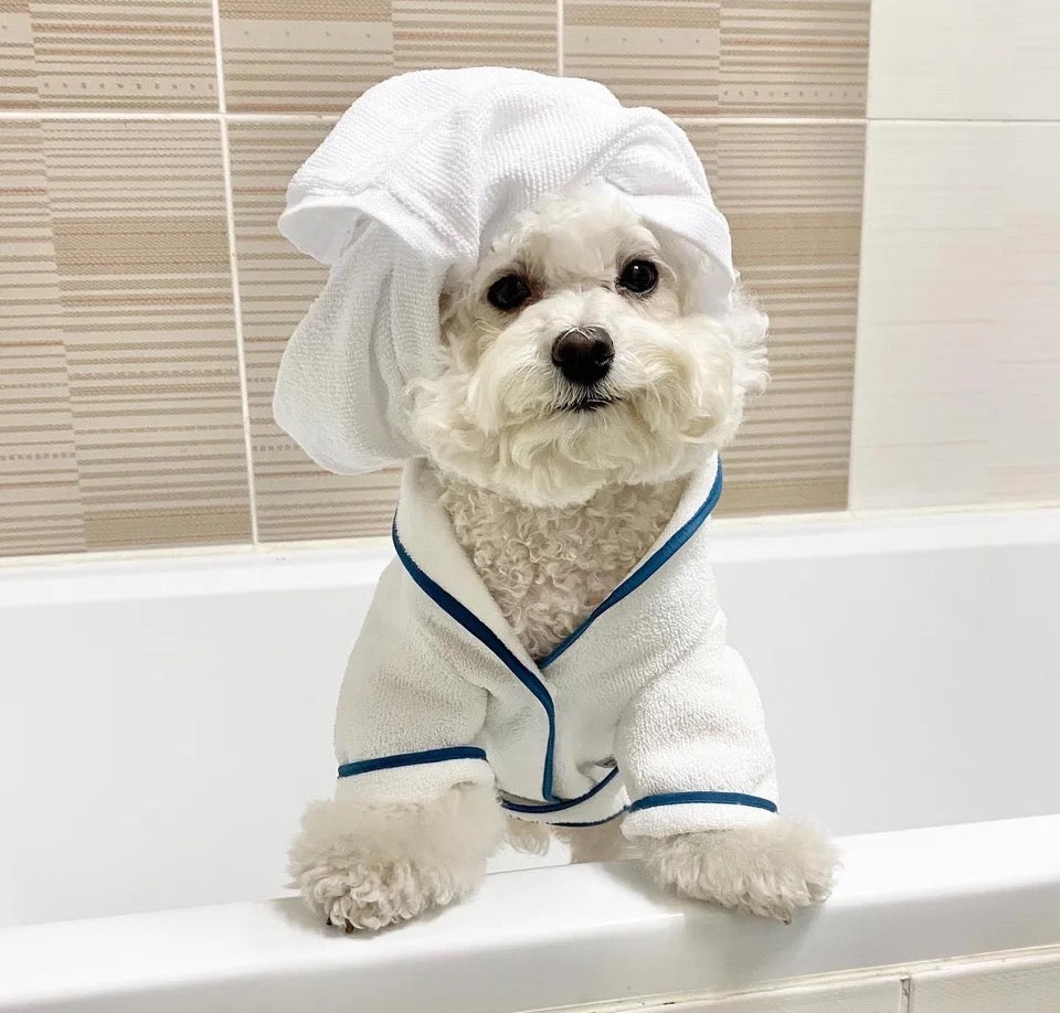Dog Robe Set | Do Not Disturb Dog Robe with Toy