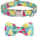 Watermelon Dog Bow Tie Collar | Printed Dog Collar