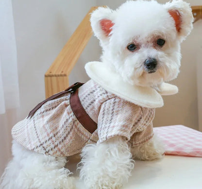 Fiona Dog Dress | Dog Dress for Special Occasions