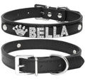 Midnight Crown Name Dog Collar | Customized Dog Collar
