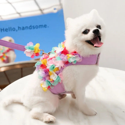 Cherry Blossom Dog Harness and Leash Set | Dog Walking Set