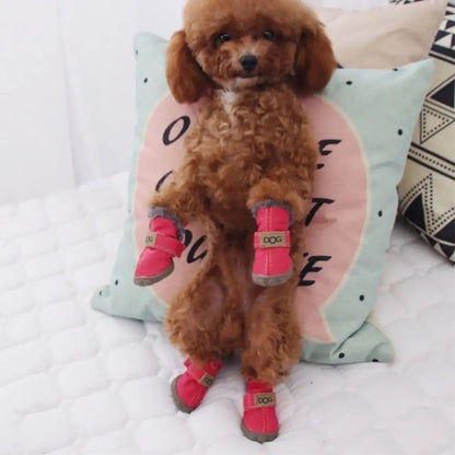 Dog Boots | All-Weather Dog Boots